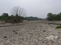img (260)